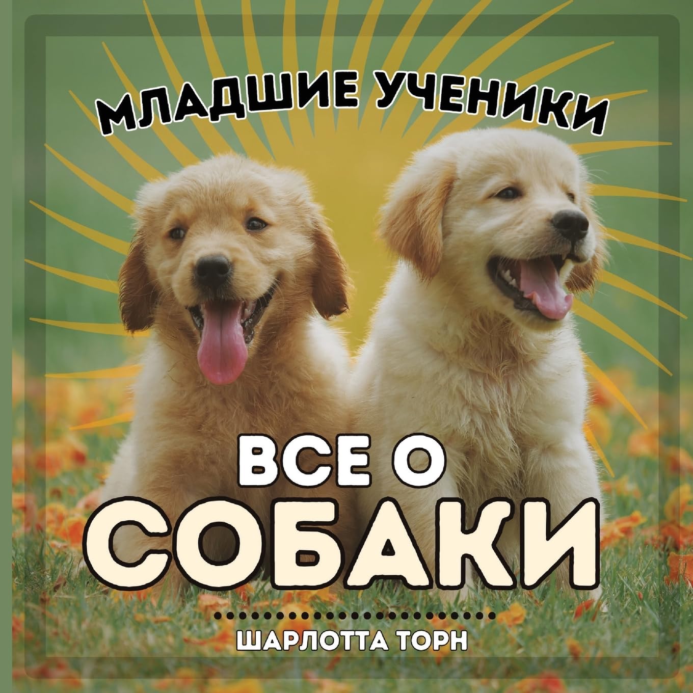 Младшие ученики, ВСЕ О ... (Russian Edition)