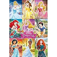 Disney Princess, Collage Maxi Poster, Wood, Multi-Colour, 61 x 91.5 cm