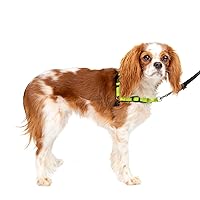 PetSafe® Deluxe Easy Walk® Dog Harness, No Pull Harness, Stop Pulling, Great For Walking and Training, Comfortable Padding, For Small Dogs- Apple, Small