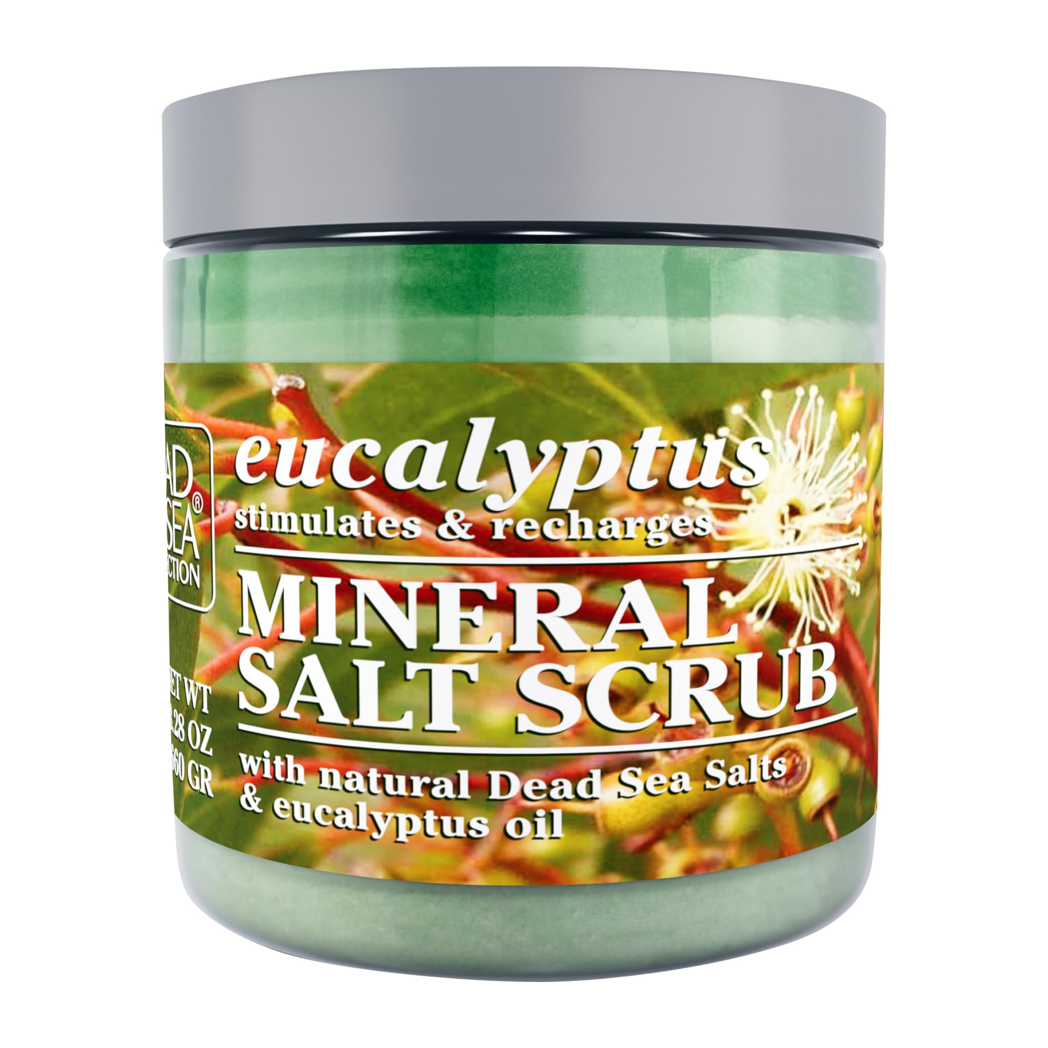 Dead Sea Collection Eucalyptus Salt Body Scrub - Large 23.28 OZ - with Organic Oils and Natural Dead Sea Minerals