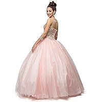 Dancing Queen Quinceanera Princess Dress (XXXL, Blush)