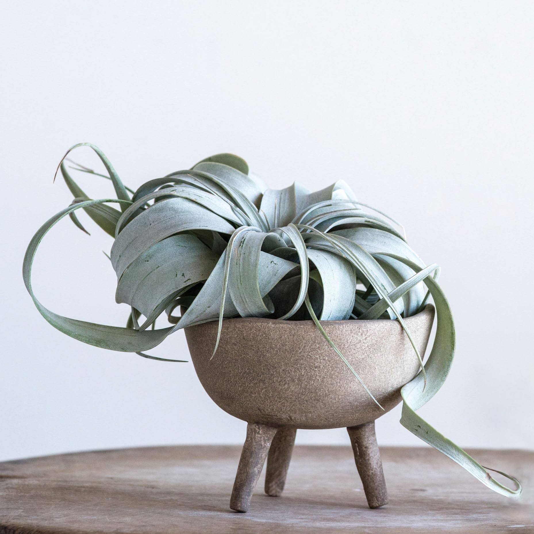 Creative Co-Op Boho Terracotta Footed Planter with Organic Edge, Matte Taupe
