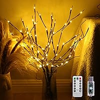 4 Pack Branch Lights with Timer, USB & Battery Powered, 29.5 Inches 80 LED Willow Tree Twig 8 Mode Remote Branch Lights for Home Decoration-Warm White
