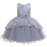 Kids Toddler Baby Girls Spring Summer Tulle Cotton Sleeveless Princess Dress Open Back Lace and Mesh Bridesmaid