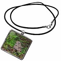 3dRose Eurasian eagle owl. NP Bavarian Forest, enclosure - Necklace With Pendant (ncl-366473)