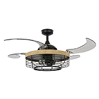 51106001 Montclair AC Ceiling Fan with Light 48-inch, Black with Teak Trim