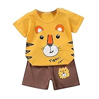 6M-6T Unisex Baby Playwear Set Toddler 2-Piece Pull-On Shorts And Tee Set Cute 3D Annimal/Funny Letter Kid Outfit