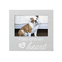 Pearhead Pet Forever In My Heart Memorial Keepsake Picture Frame, Keepsake For Dog and Cat Owners, Memorial Gift For Pet Lovers, Sympathy Gift, Gray