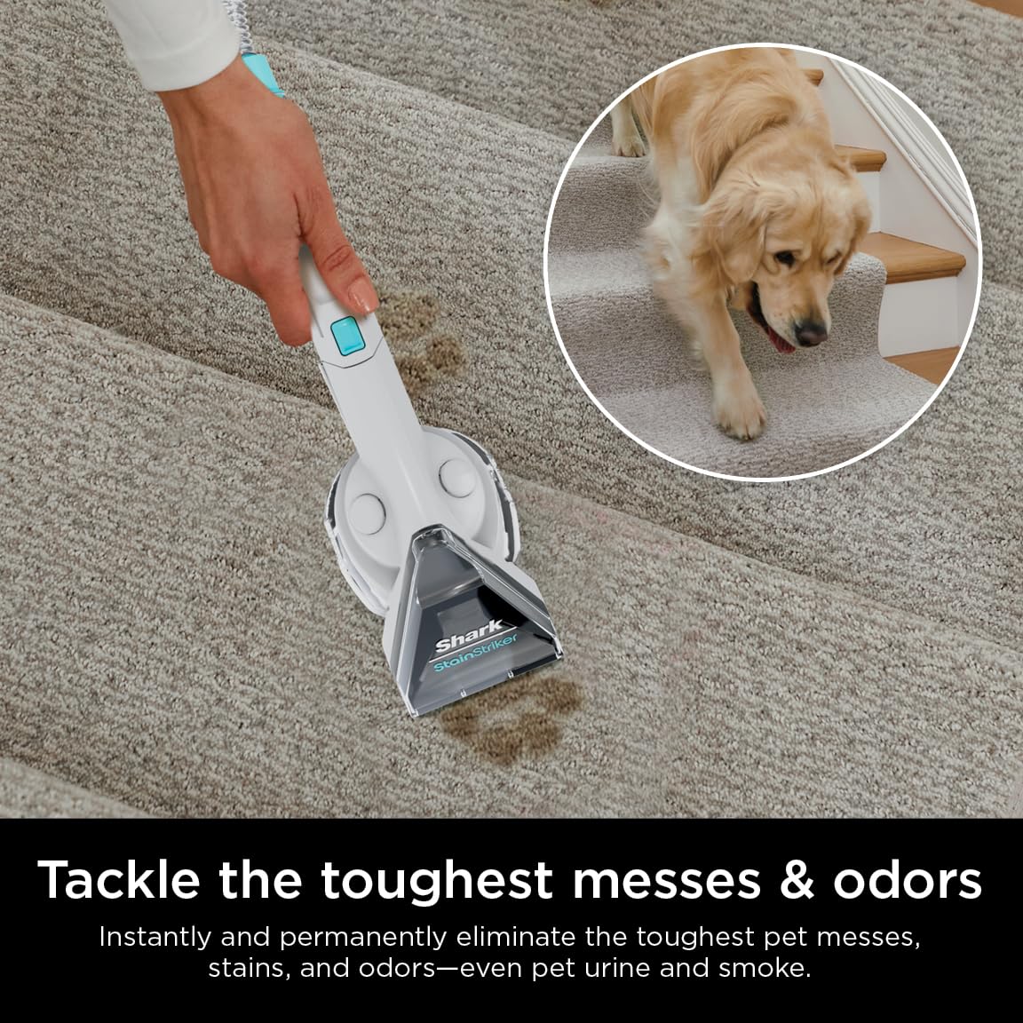 Shark PX201 StainStriker Portable Carpet & Upholstery Cleaner, Spot, Stain, & Odor Eliminator, 3 Attachments, Perfect for Pets, Carpet, Area Rugs, Couches, Upholstery, Cars & More, White