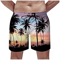 Men's Swimming Trunks Big and Tall Boardshorts Novelty Quick Dry Swimtrunks 3D Printed Beach Shorts Bathing Suit