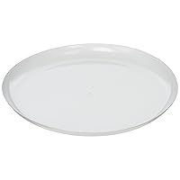 Reusable Plastic Plates Party Tableware and Dishware, White, 9