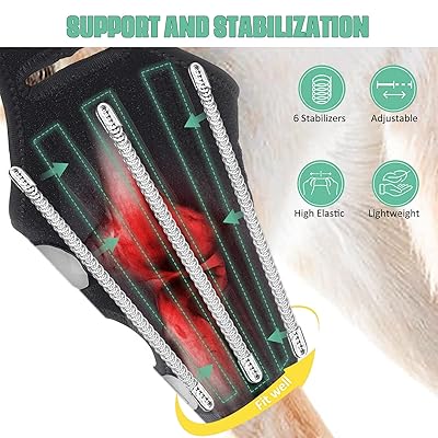 Lyderpet Dog acl Brace for Dogs Rear Leg, cruciate Care Knee Brace for Dogs  Back Leg, Strong Support Reduces Pain and Inflammation,Better Recovery ccl