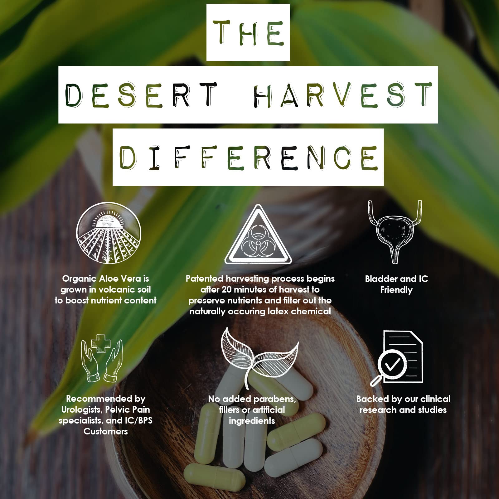 Desert Harvest Aloe Vera, 180 Capsules