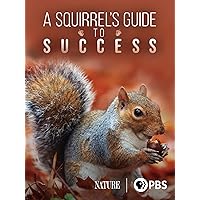 A Squirrel’s Guide to Success