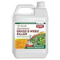 Weed Killer Concentrate - Eco Living Solutions Weed Killer Spray | Pet Safe Weed Killer | Organic Weed and Grass Killer | Moss Killer | Crabgrass & Dandelion Killer | Glyphosate Free Herbicide