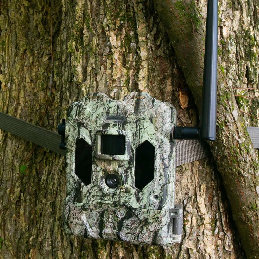 Bushnell Cellucore Live Cellular Trail Camera, Dual SIM Connectivity Cellular Game Camera with Live Streaming Video and Images, Works with OnX Hunt