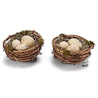 RAZ Imports Faux Bird's Nests with Speckled Eggs, Decorative Easter Accent, Spring Decoration, Box Set of 2, Brown, Green, Tan, Yellow, Beige, 3''Diax2''H