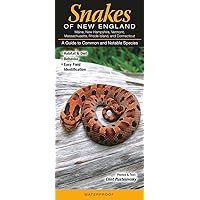 Snakes of New England Ct, Me, Ma, Nh, Ri, Vt Snakes of New England Ct, Me, Ma, Nh, Ri, Vt Paperback