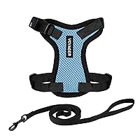 Voyager Step-in Lock Adjustable Cat Harness w. Cat Leash Combo Set with Neoprene Handle 5ft - Supports Small, Medium and Large Breed Cats by Best Pet Supplies - Baby Blue/Black Trim, XS