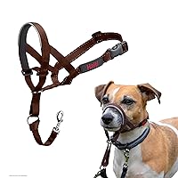 HALTI Headcollar - to Stop Your Dog Pulling on The Leash. Adjustable, Reflective and Lightweight, with Padded Nose Band. Dog Training Anti-Pull Collar for Small Dogs (Size 1, Deep Walnut)