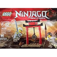 LEGO Ninjago WU-CRU Target Training 30530