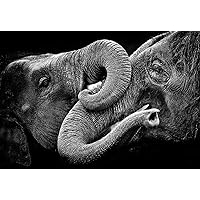 Adult Jigsaw Puzzle 1000 Pieces Black and White Elephant Animal Model Living Room Art Wooden Puzzle DIY Style Unique Gift