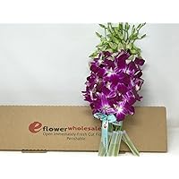 Fresh Cut Flowers -Dendrobium Orchids Bom Sonia (Purple)