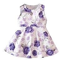 Oddler Kids Baby Girls Summer Casual Sleeveless Round Neck Floral Dress Party Dress Long Frocks for
