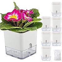 6 Pack-4.3 Inch Self Watering Plant Pots for Indoor Plants,Square Self-Watering Planters Box Transparent for Devil's Ivy, Spider Plant, Orchid, African Violet Pot for Home & Office