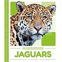 Jaguars (Rain Forest Animals) Jaguars (Rain Forest Animals) Library Binding Paperback