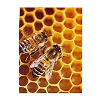 Bee On Honeycomb Puzzles 500 Pieces Wooden Jigsaw Puzzles Personalized Photo Puzzle for Adults Friends Picture Puzzle Gifts for Wedding Birthday Valentine's Day Home Decor