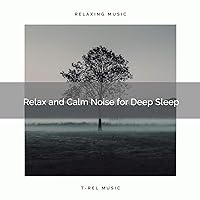 Full Zen and Peaceful Sleepy Noise for Most Dreams