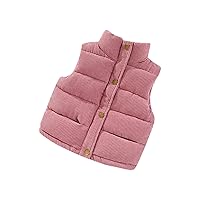 Baby Clothes Solid Color Soft Fleece Vest Boys Girls Stand Collar Zip Up Outerwear with Pockets Fall Winter Coat