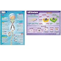 Daydream Education DNA and Cell Structure Science Poster - Laminated - LARGE FORMAT 33” x 23.5