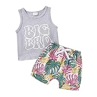 Toddler Baby Boy Summer Shorts Outfit 4th Of July Clothes Sleeveless Tank Top And Shorts Cute 2 Piece Set