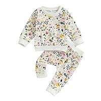 Toddler Baby Girl Floral Outfits For Fall Winter 2Pcs Long Sleeve Crewneck Flower Sweatshirt And Sweatpants Set
