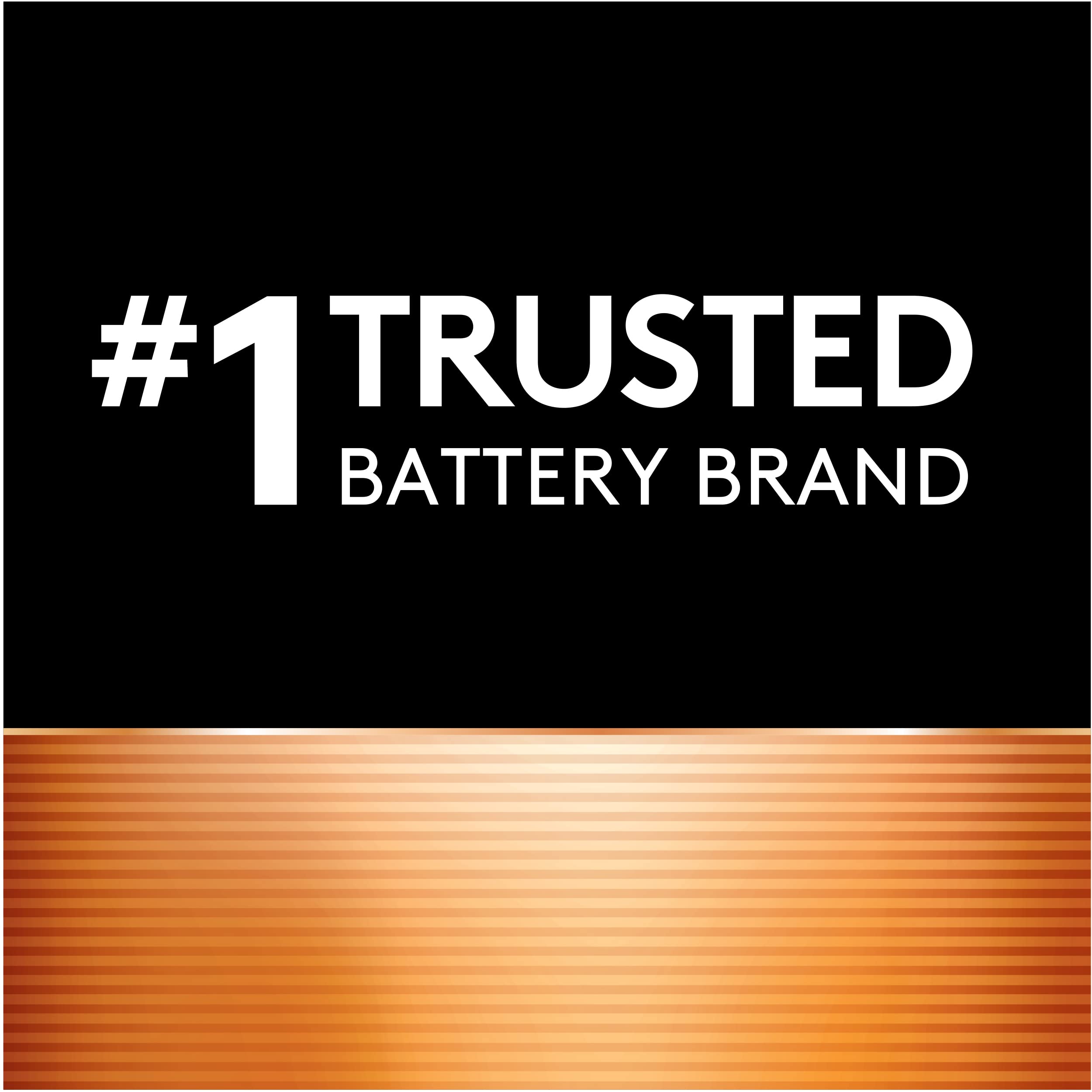 Duracell Rechargeable AAA Batteries, 2 Count Pack, Triple A Battery for Long-lasting Power, All-Purpose Pre-Charged Battery for Household and Business Devices