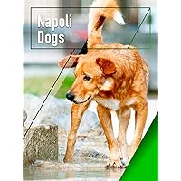 Napoli Dogs