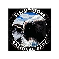 Yyellowstone National Park Canvas Framed Wall Art for Stairs Decor Funny Nature Prints Poster Canvas Wall Art Quotes for Dorm Room Above Bed Wall Decorative 12x12 Inch