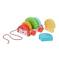 Petit Collage Rainbow Hedgehog Wooden Pull Toy