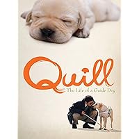 Quill: The Life of a Guide Dog (English Subtitled)