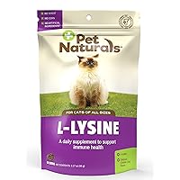 Lysine for Cats, Chicken Flavor, 60 Chews - Immune and Respiratory Support for Cats - No Wheat or Corn - Vet Recommended