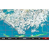 Garmin Standard Mapping - Louisiana Central Professional microSD/SD Card, 010-C1170-00