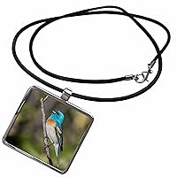 3dRose Danita Delimont - Birds - Singing Lazuli bunting - Necklace With Pendant (ncl-367105)