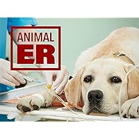 Animal ER - Season 1