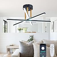 Modern LED Ceiling Light Fixture, Dimmable LED Chandelier with Remote Control, 3000K-6000K 3-Color Black Gold Semi Flush Mount Ceiling Lamp Fixtures for Bedroom Living Room Kitchen Office Entryway