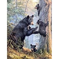 BOHADIY Diamond Painting Kits for Adults Bear Family 5D Diamond Art Kits for Adults, DIY Full Drill Paintings with Diamonds Gem Art Crafts for Home Wall Decor 12x16inch