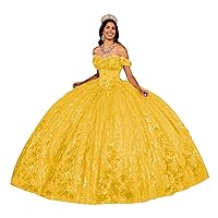 Sparkly Sequin Quinceanera Dresses Ball Gown 3D Floral Sweet 15 16 Dresses Off Shoulder Corset Prom Dress
