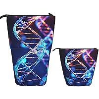 Pencil Case Standing Stationery Case for Office Telescopic Pencil Cases DNA Genetic Helix Pop up Pencil Holder Standing Pencil bag for Office Retractable Pencil Pouch 7 Ã— 5.7 in