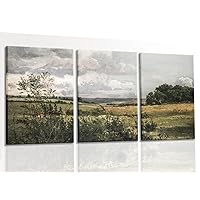 Field Landscape 3 Pieces Split Print Wall Art, Vintage Print Country Landscape Painting, Oil Painting Mural Art, Nature Landscape Wall Art Print, Country Field Nature Abstract Art 16 * 24 Inch Framed
